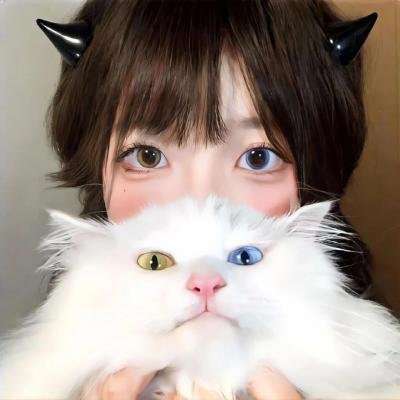 红纸鹤